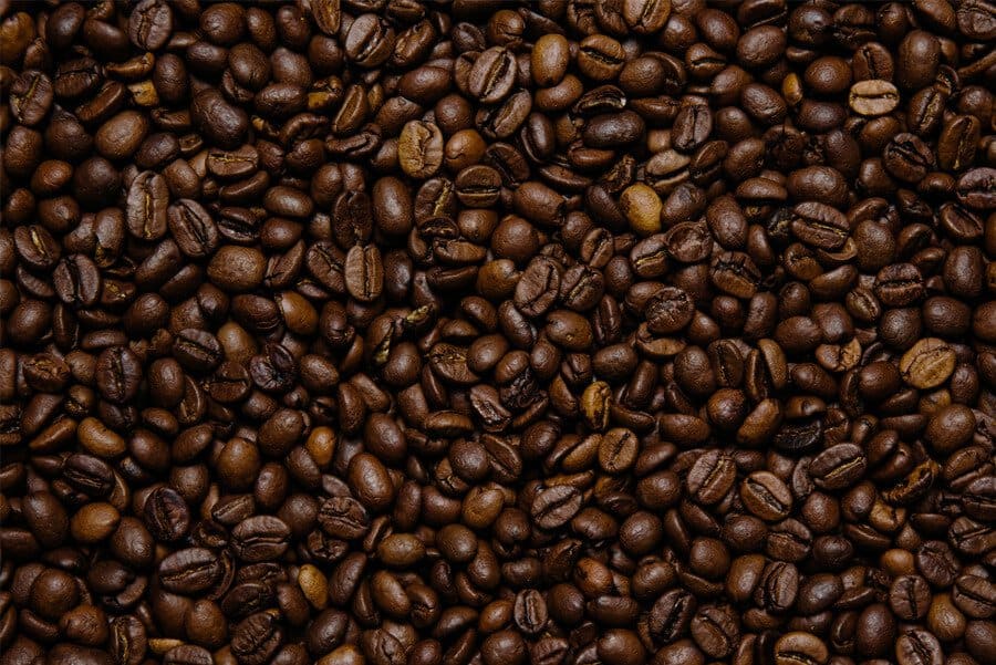tipos de grãos de café
