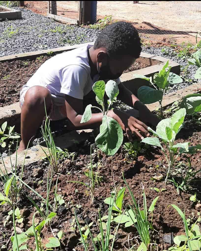 Criança do Instituto Café Solidário cuidando de horta