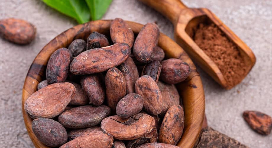 dia do cacau: cesta com cacau