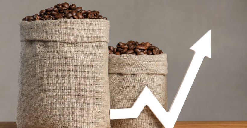 Café premiado: o que é e por que desperta tanta curiosidade?